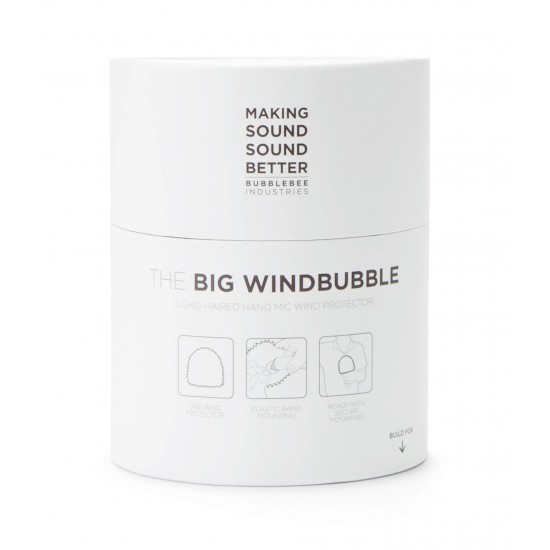 The Big Windbubble